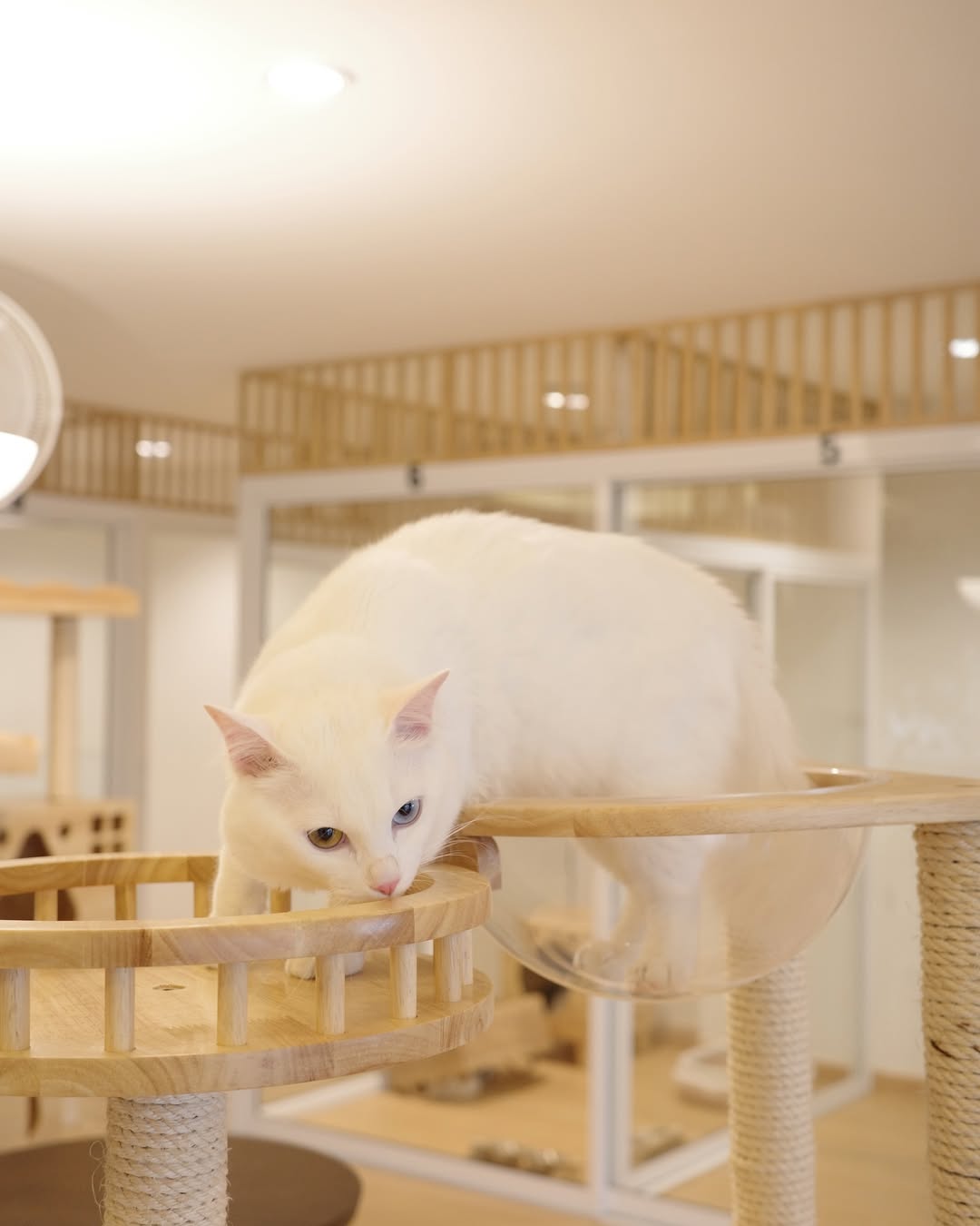 ร็อค - ขวัญลดา รุ่งโรจน์อำภา