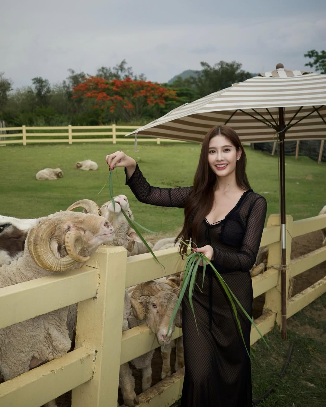 ร็อค - ขวัญลดา รุ่งโรจน์อำภา