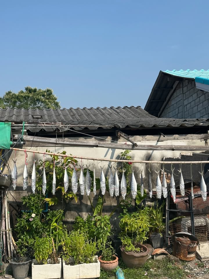 ร็อค - ขวัญลดา รุ่งโรจน์อำภา