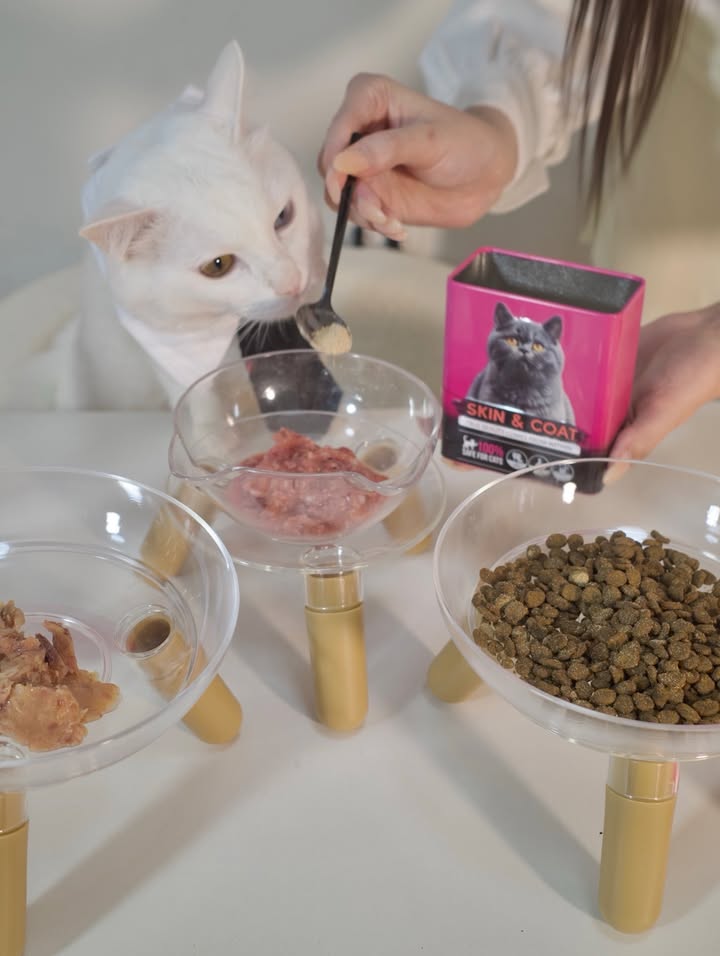 ร็อค - ขวัญลดา รุ่งโรจน์อำภา