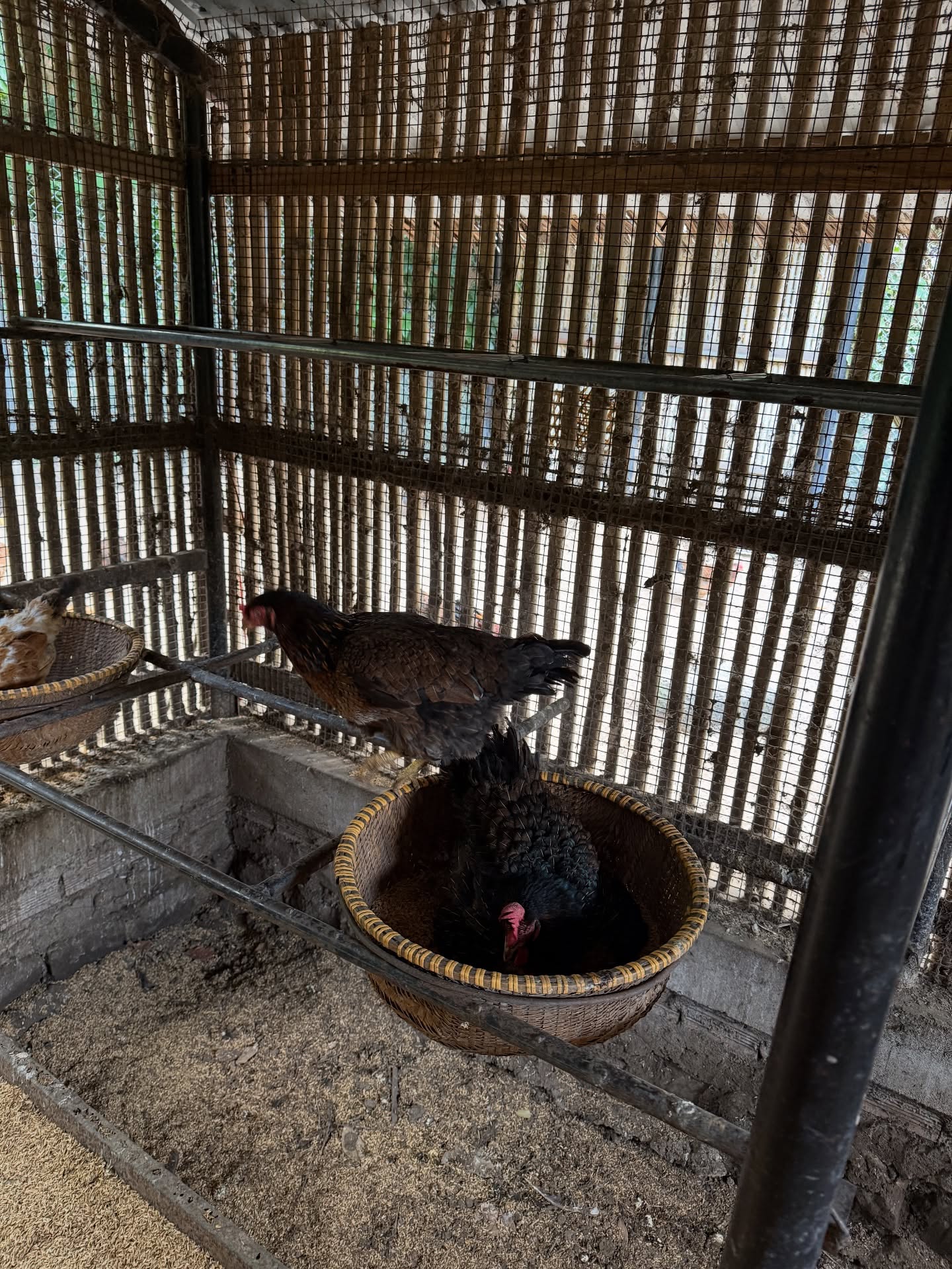 ร็อค - ขวัญลดา รุ่งโรจน์อำภา