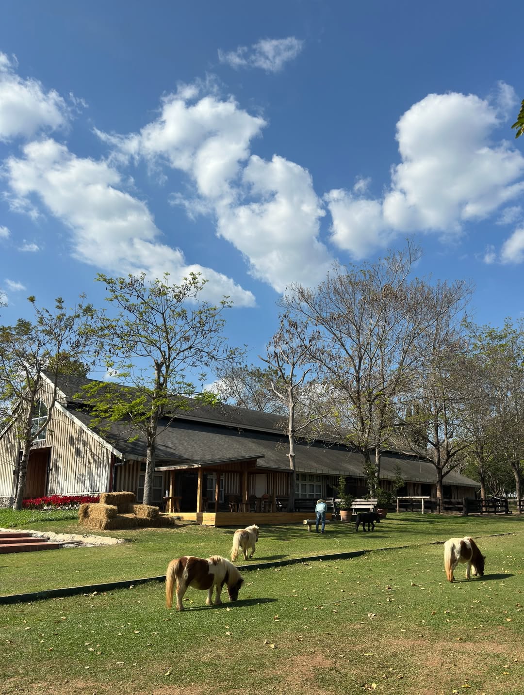 ร็อค - ขวัญลดา รุ่งโรจน์อำภา