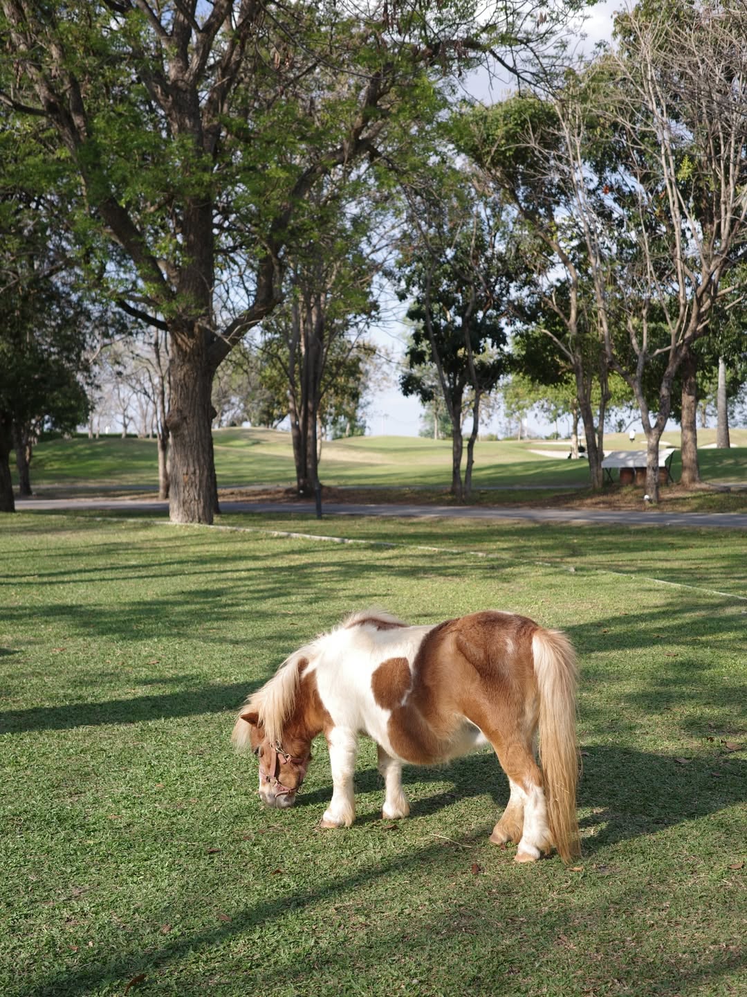 ร็อค - ขวัญลดา รุ่งโรจน์อำภา