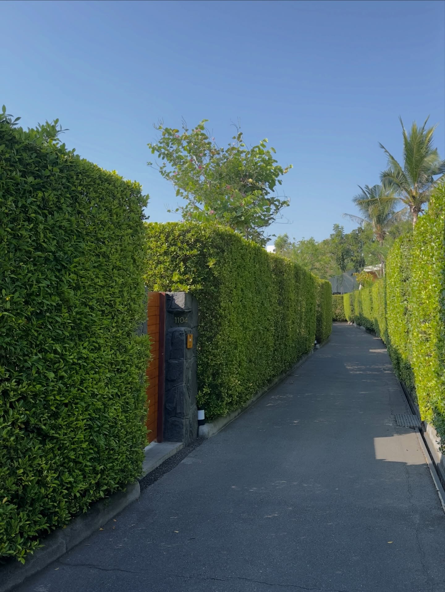 ร็อค - ขวัญลดา รุ่งโรจน์อำภา