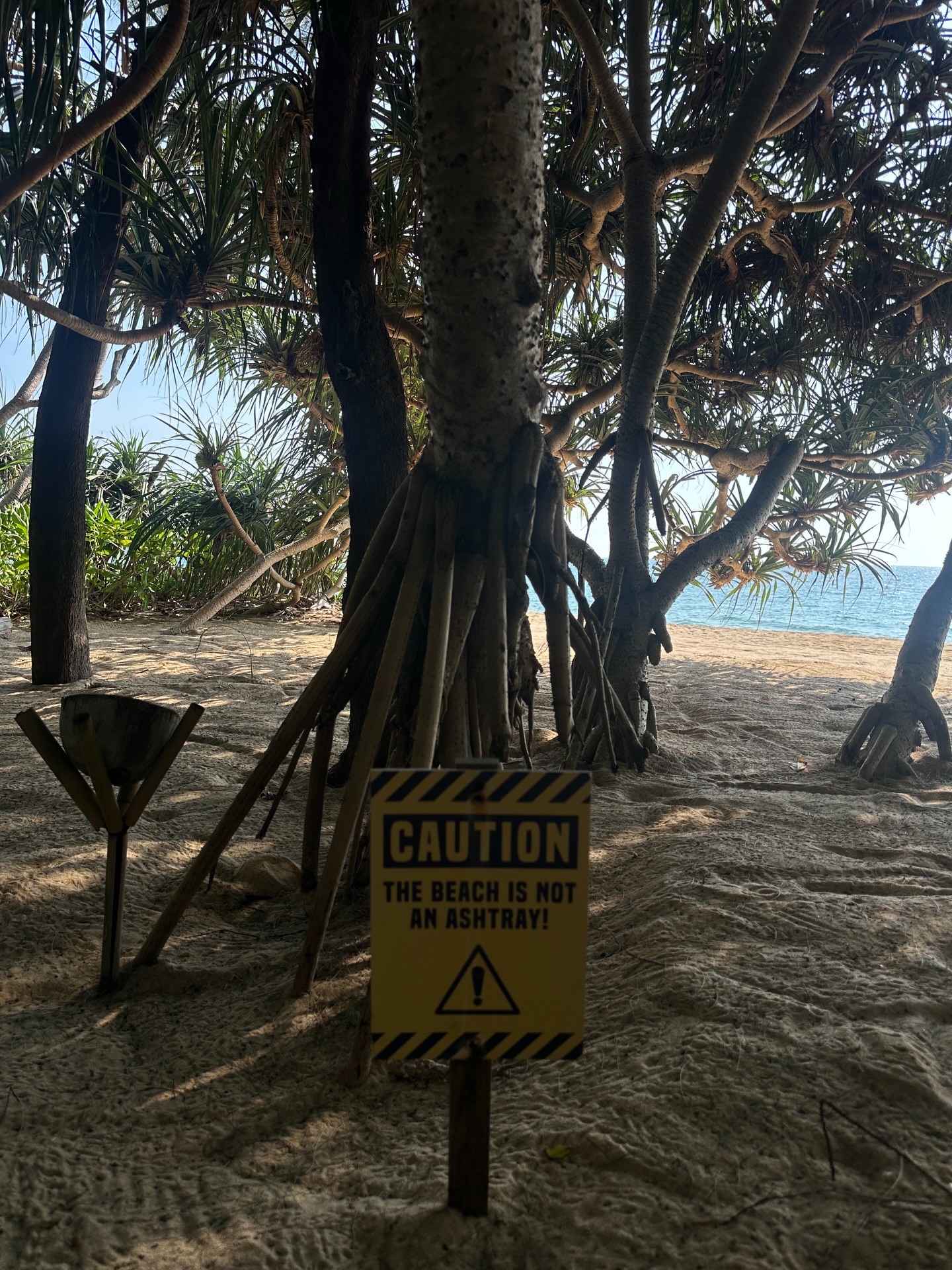 ร็อค - ขวัญลดา รุ่งโรจน์อำภา