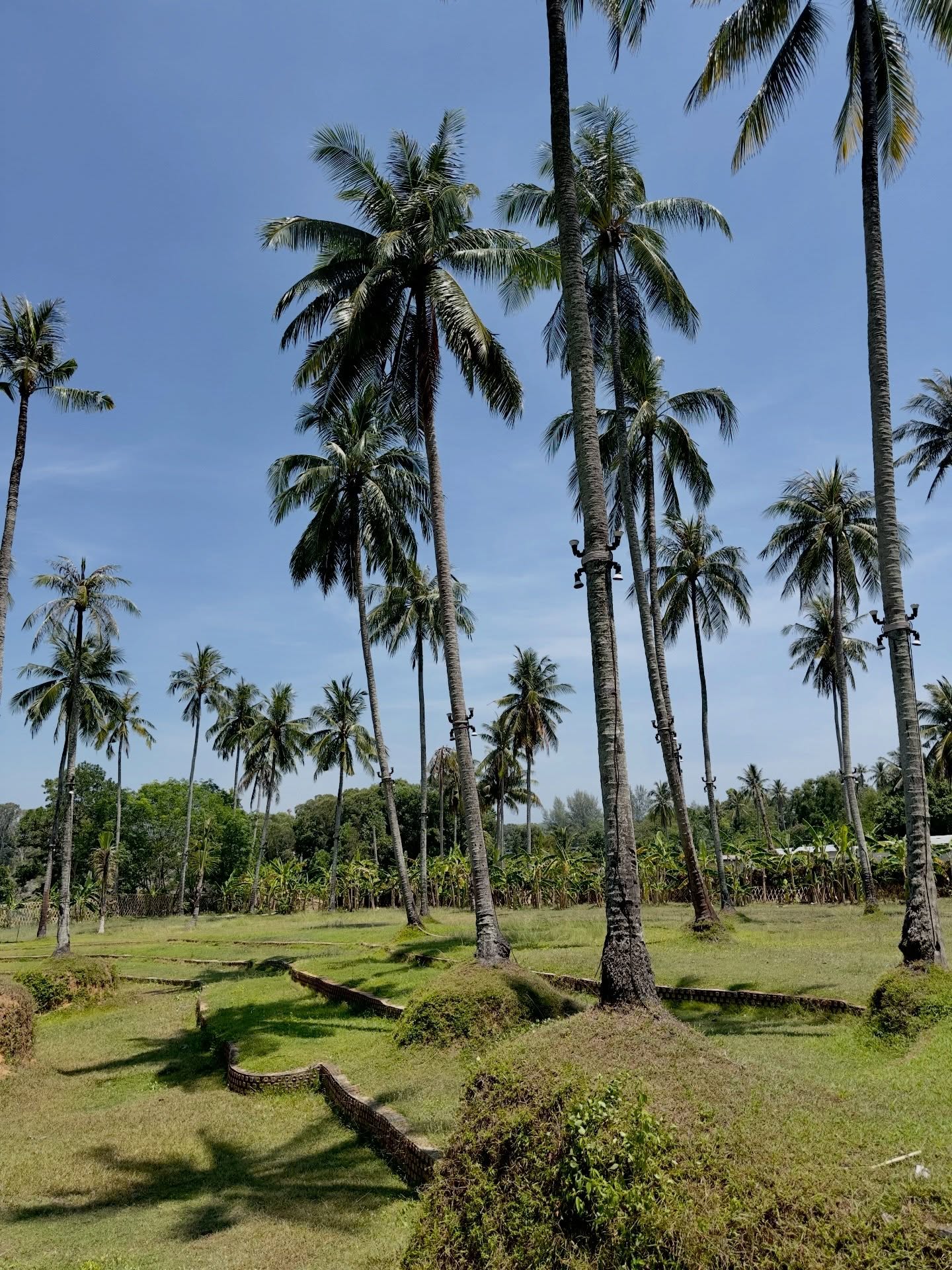 ร็อค - ขวัญลดา รุ่งโรจน์อำภา