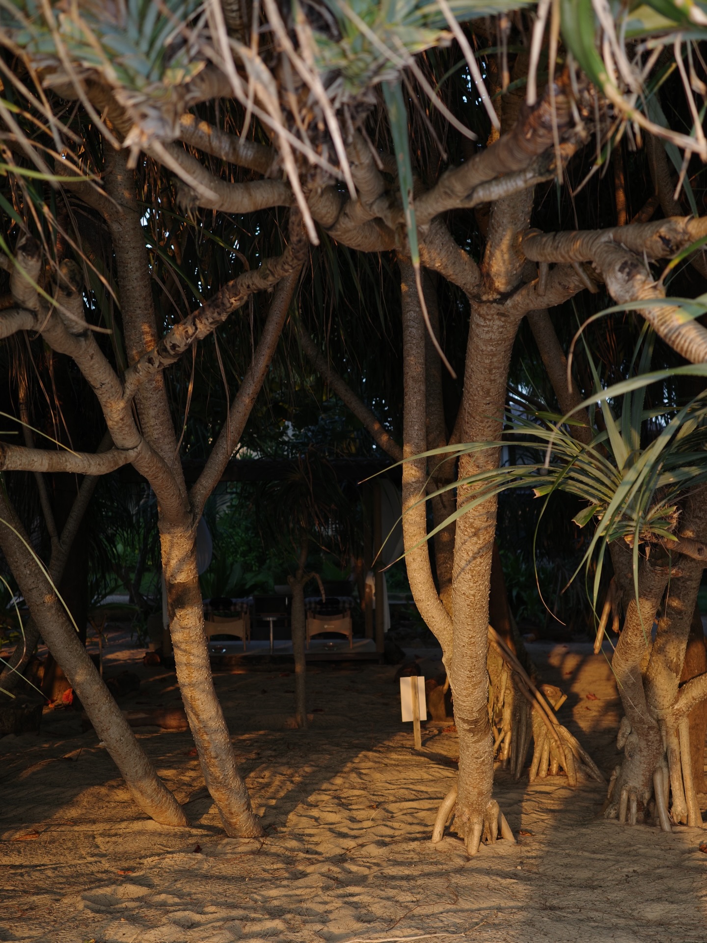 ร็อค - ขวัญลดา รุ่งโรจน์อำภา