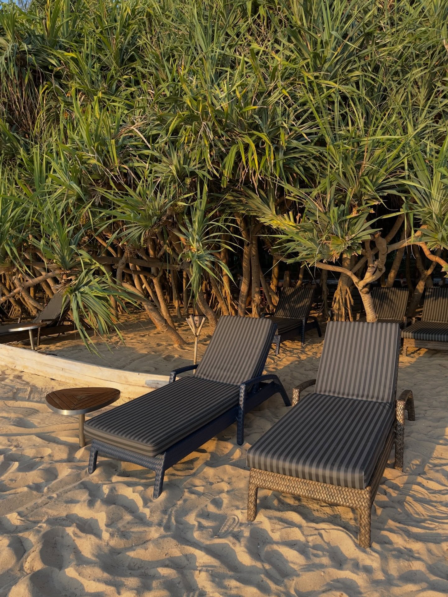 ร็อค - ขวัญลดา รุ่งโรจน์อำภา