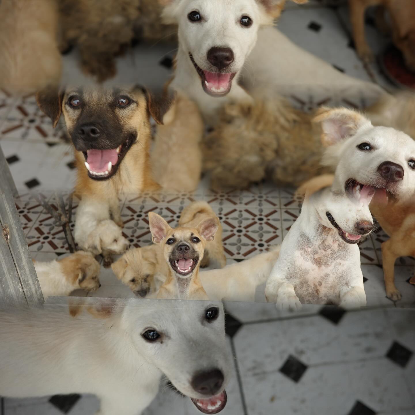 ไข่มุก - รุ่งรัตน์ เหม็งพานิช