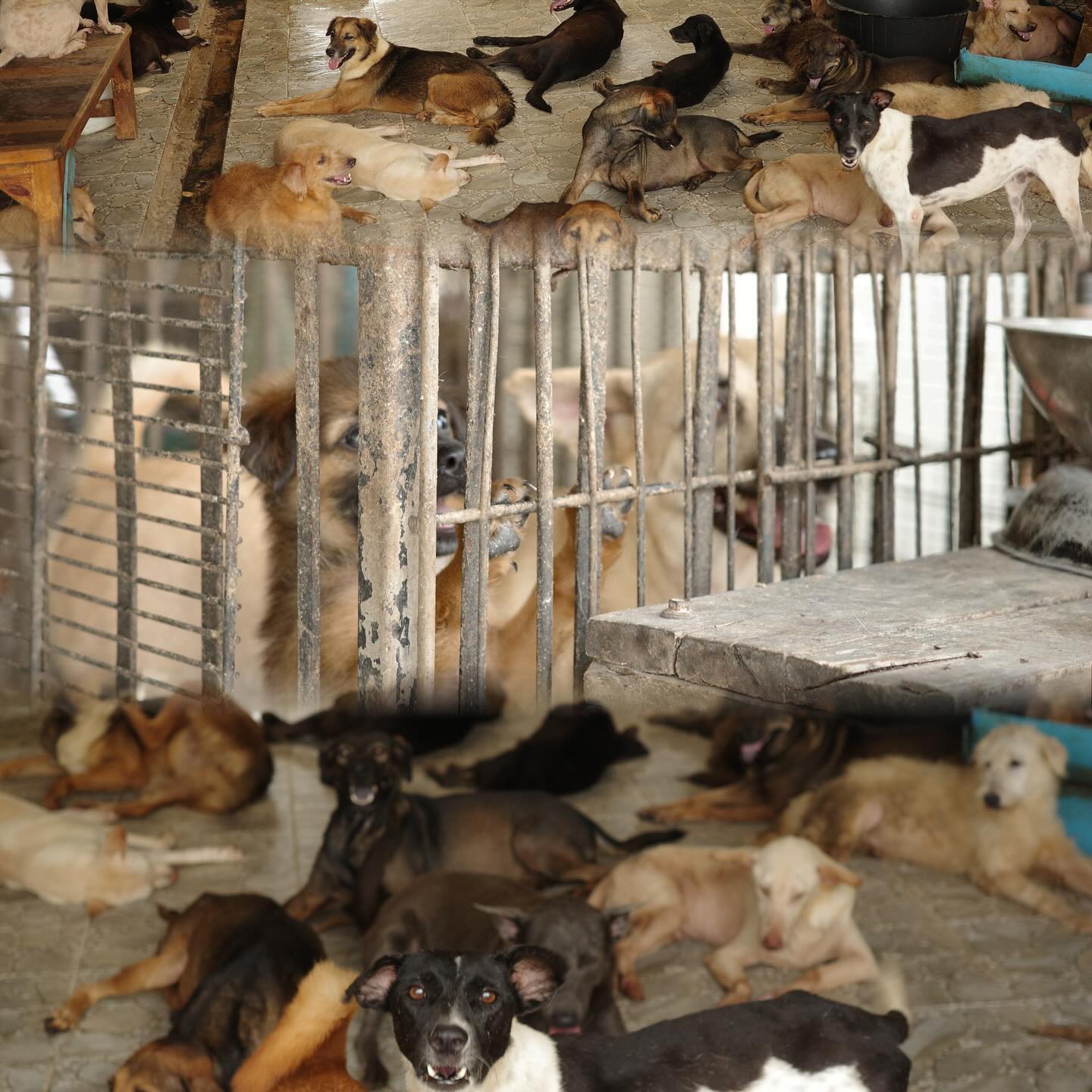 ไข่มุก - รุ่งรัตน์ เหม็งพานิช