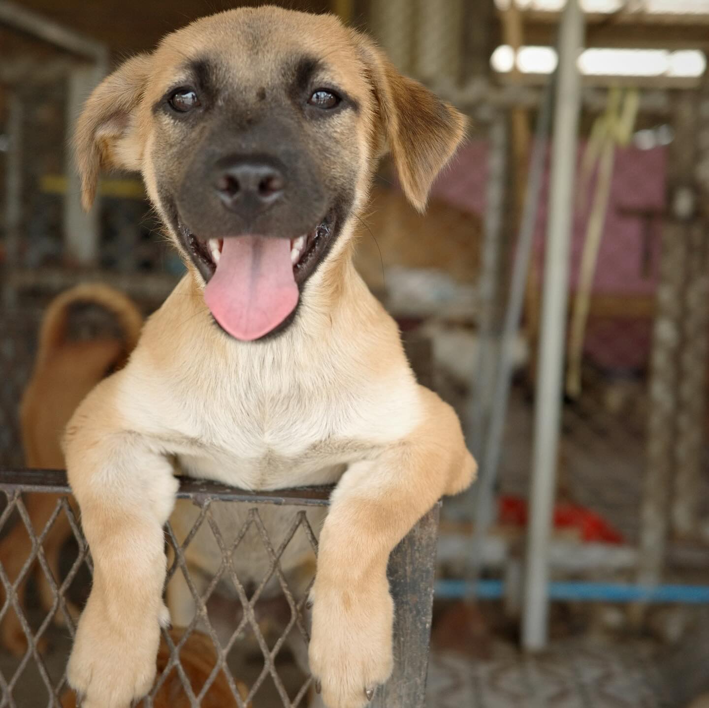 ไข่มุก - รุ่งรัตน์ เหม็งพานิช
