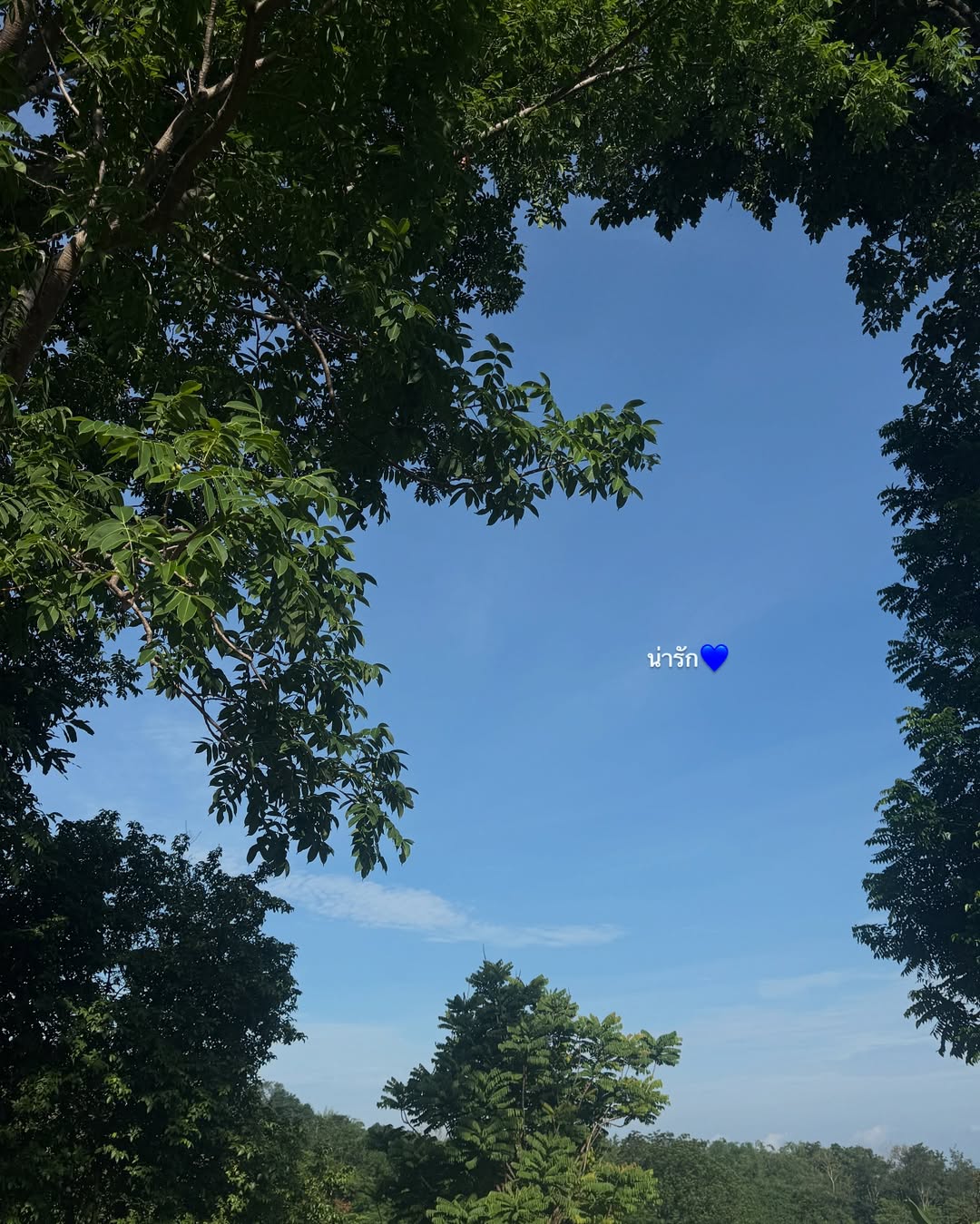 ไข่มุก - รุ่งรัตน์ เหม็งพานิช