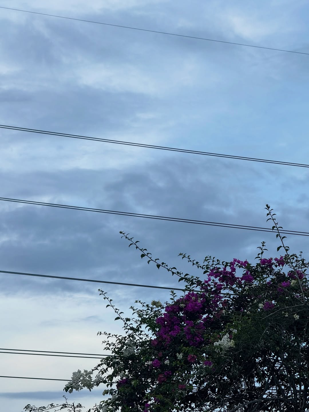 ไข่มุก - รุ่งรัตน์ เหม็งพานิช