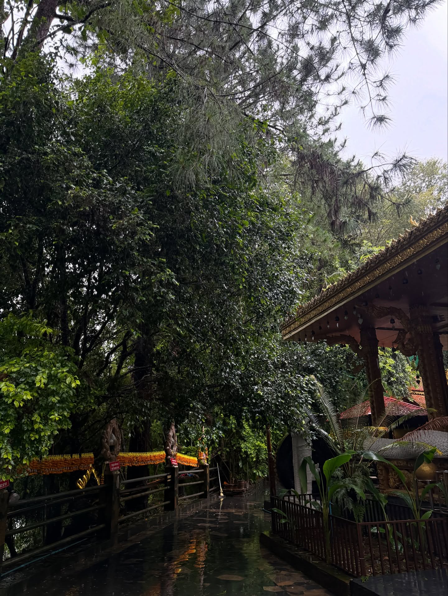ไข่มุก - รุ่งรัตน์ เหม็งพานิช