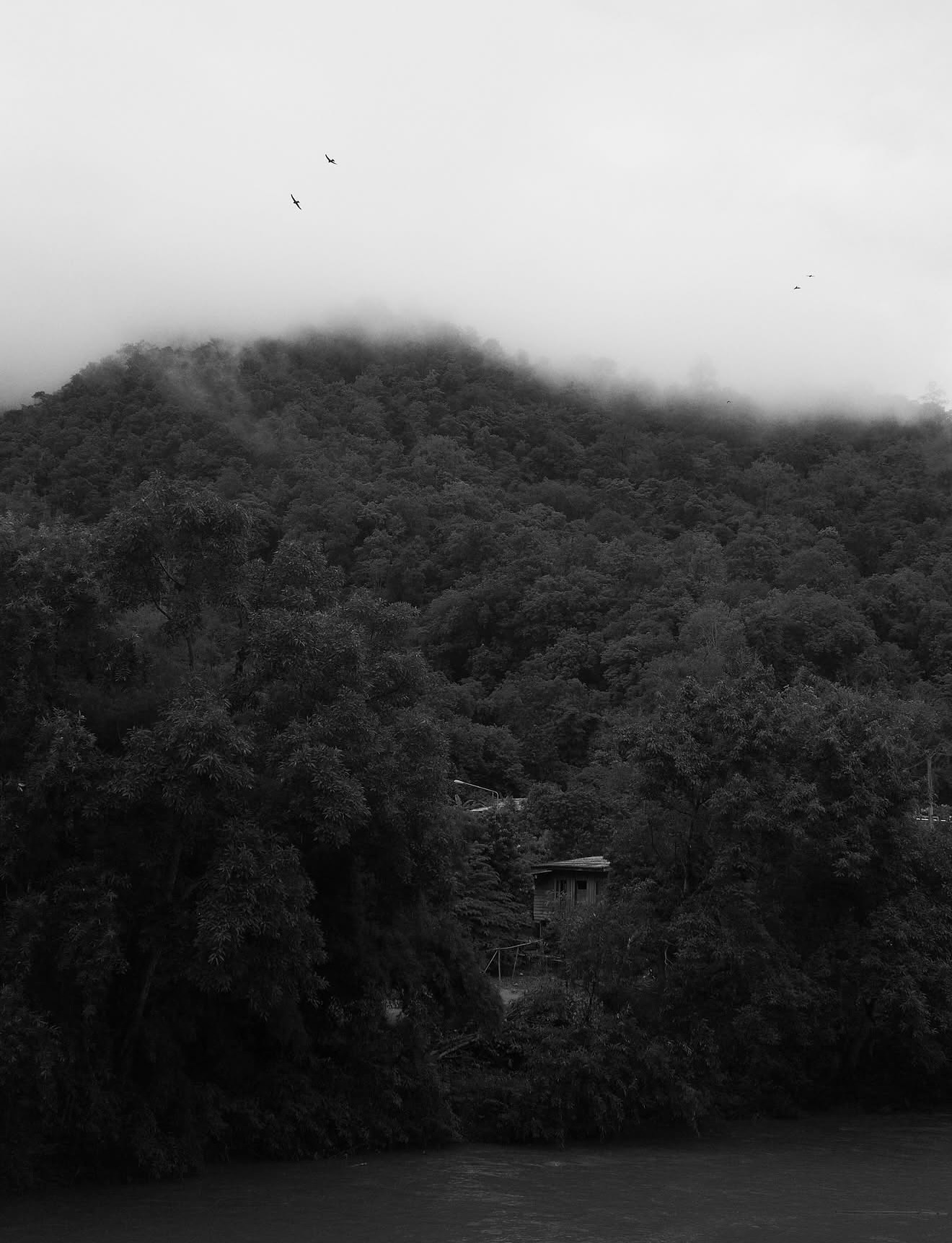 ไข่มุก - รุ่งรัตน์ เหม็งพานิช