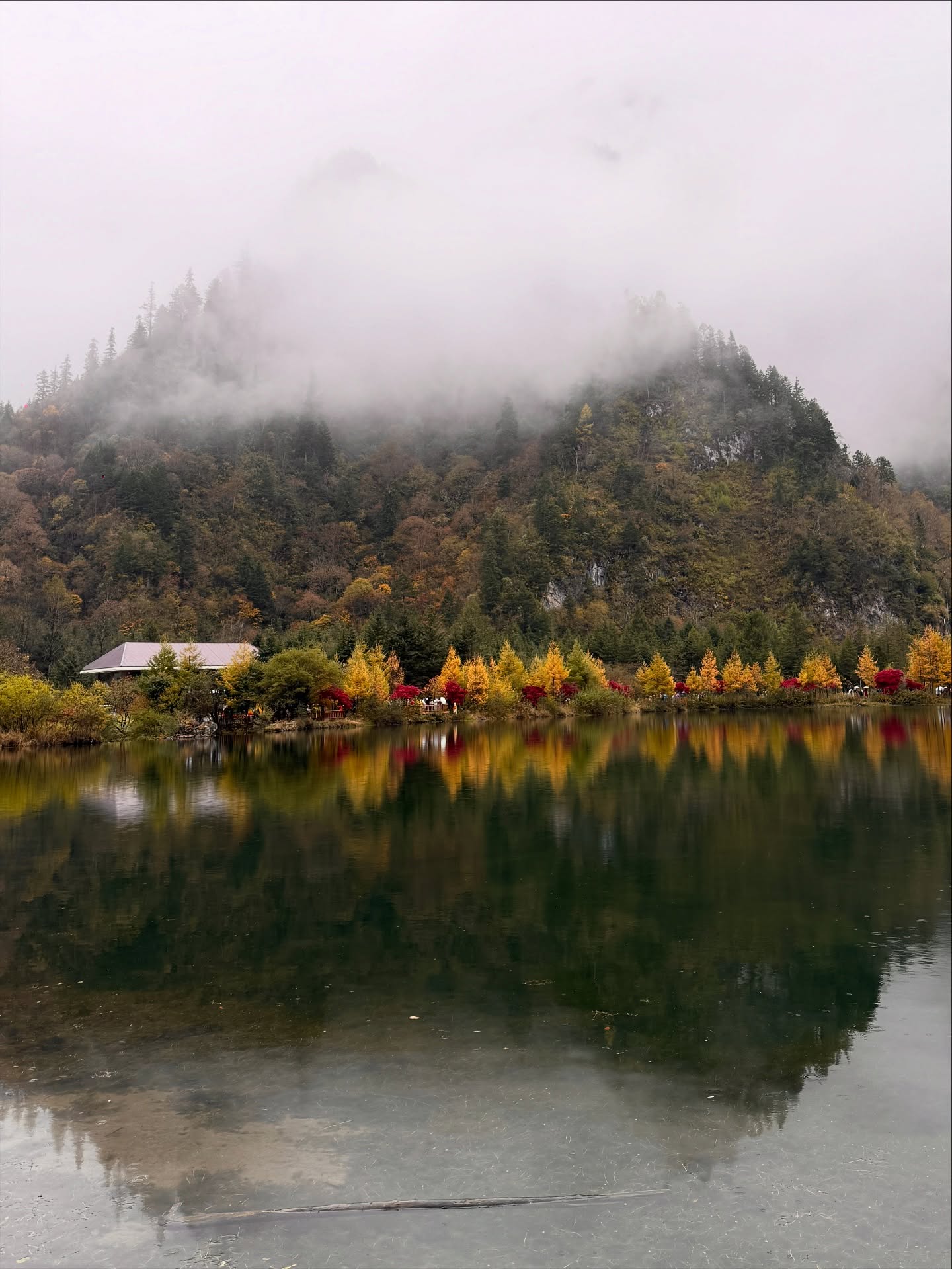 ไข่มุก - รุ่งรัตน์ เหม็งพานิช