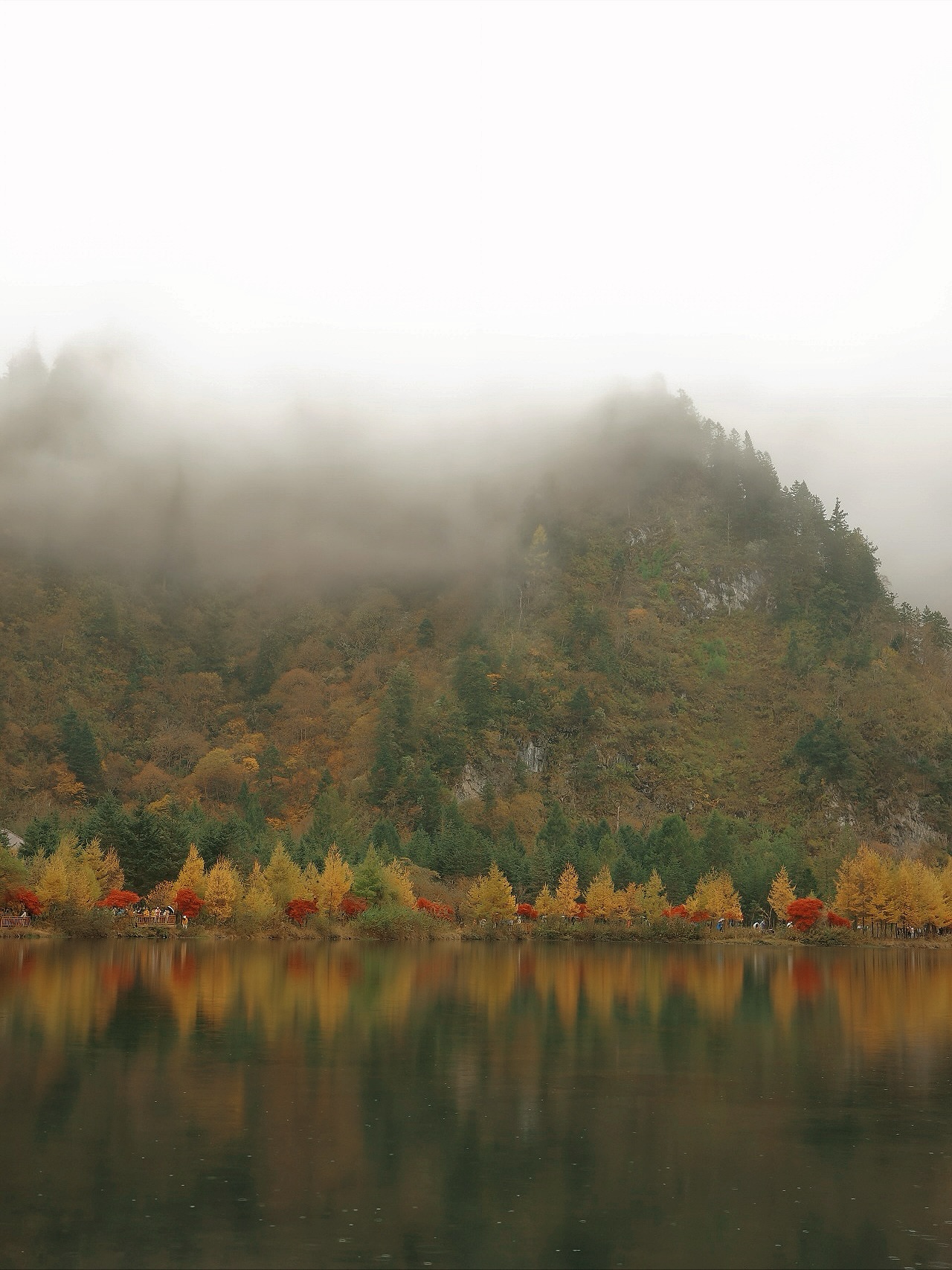 ไข่มุก - รุ่งรัตน์ เหม็งพานิช