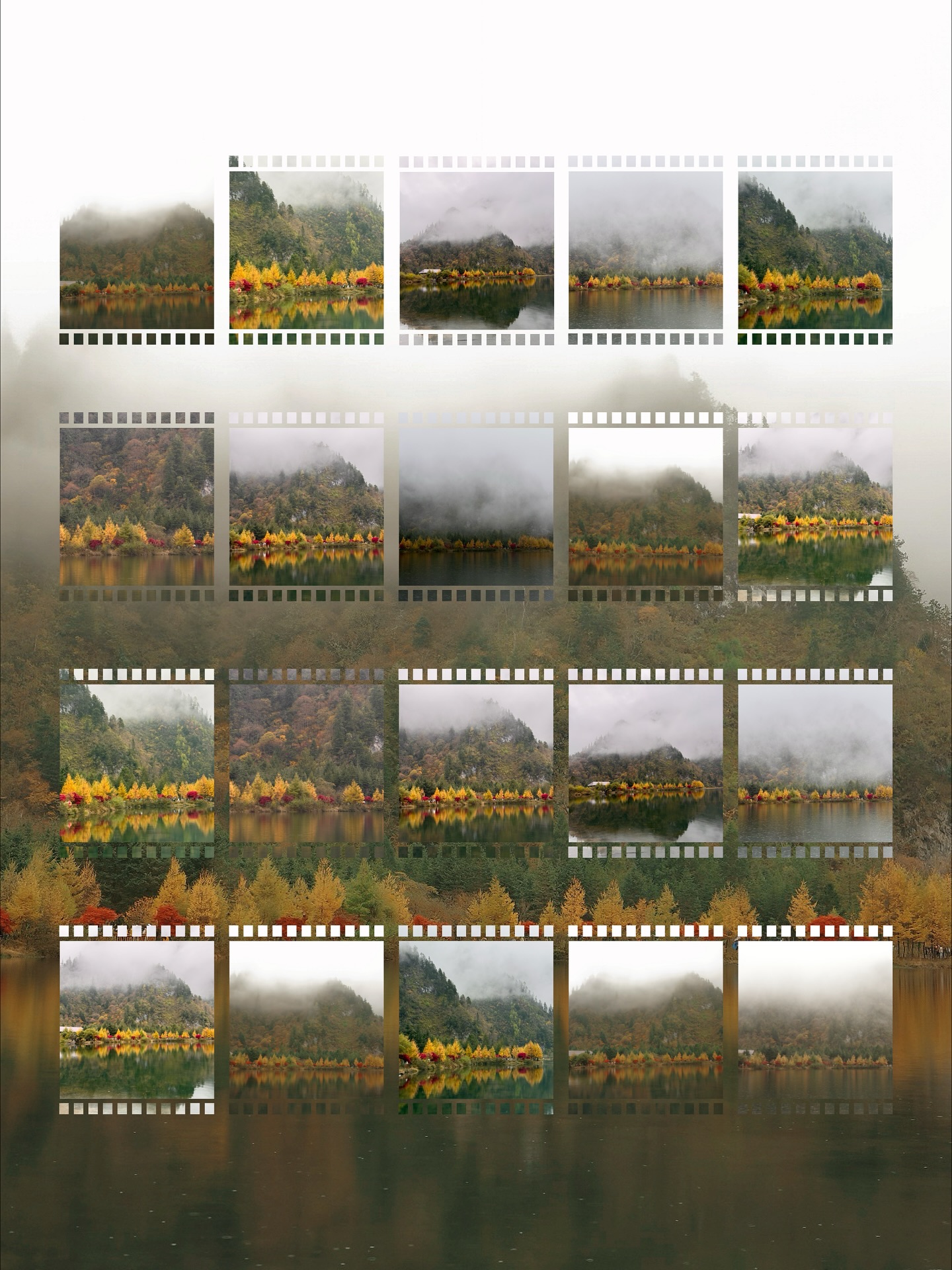 ไข่มุก - รุ่งรัตน์ เหม็งพานิช