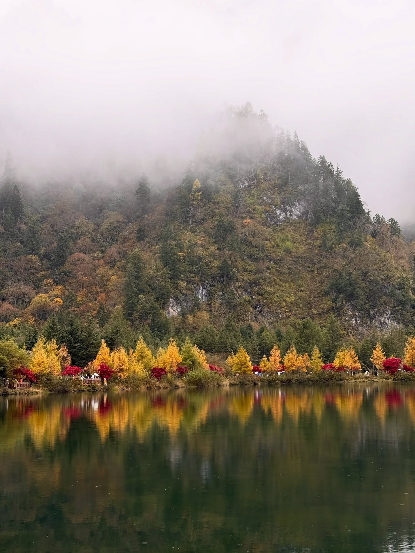 ไข่มุก - รุ่งรัตน์ เหม็งพานิช