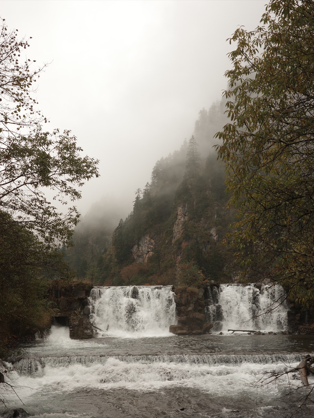 ไข่มุก - รุ่งรัตน์ เหม็งพานิช