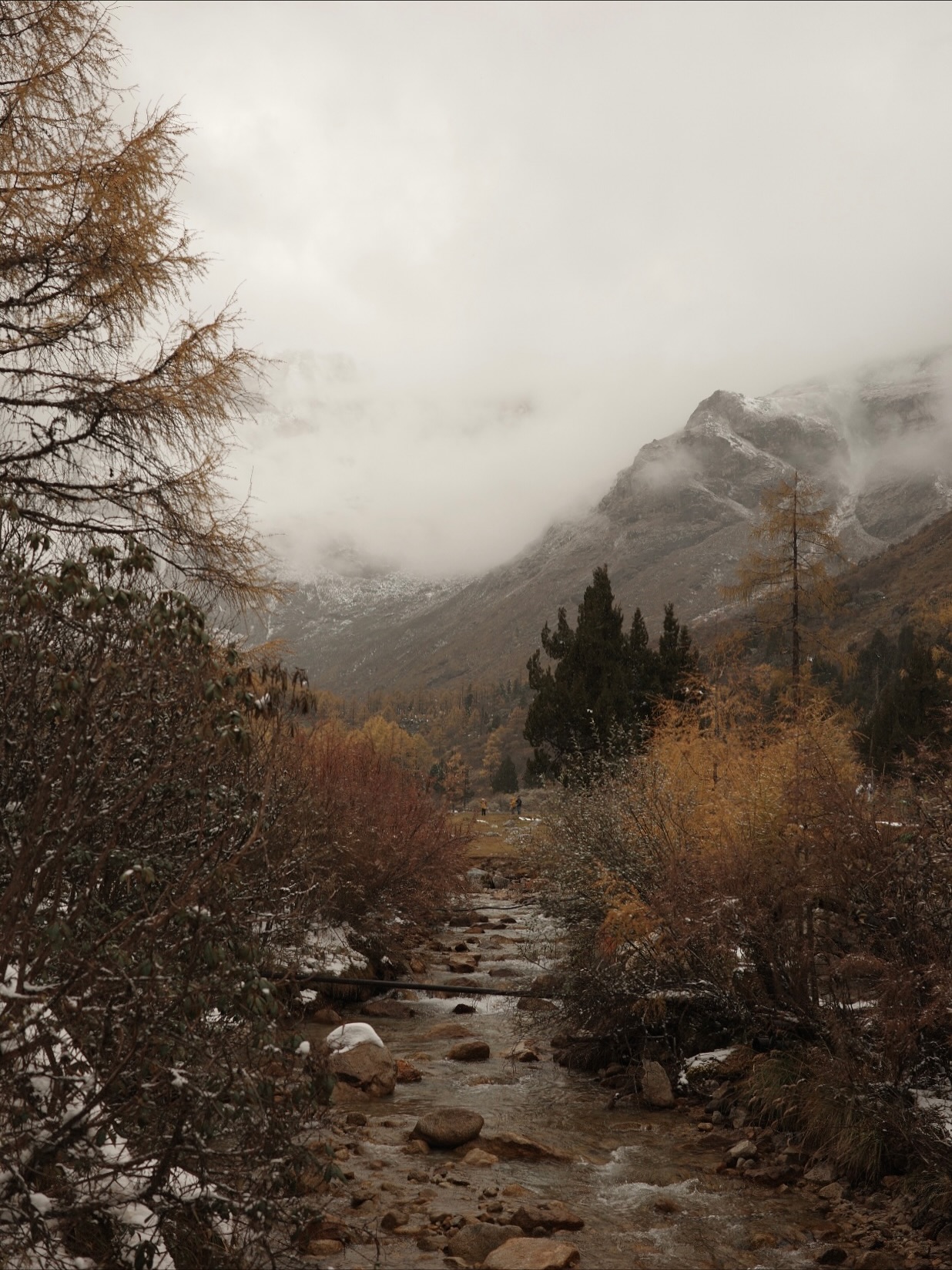 ไข่มุก - รุ่งรัตน์ เหม็งพานิช
