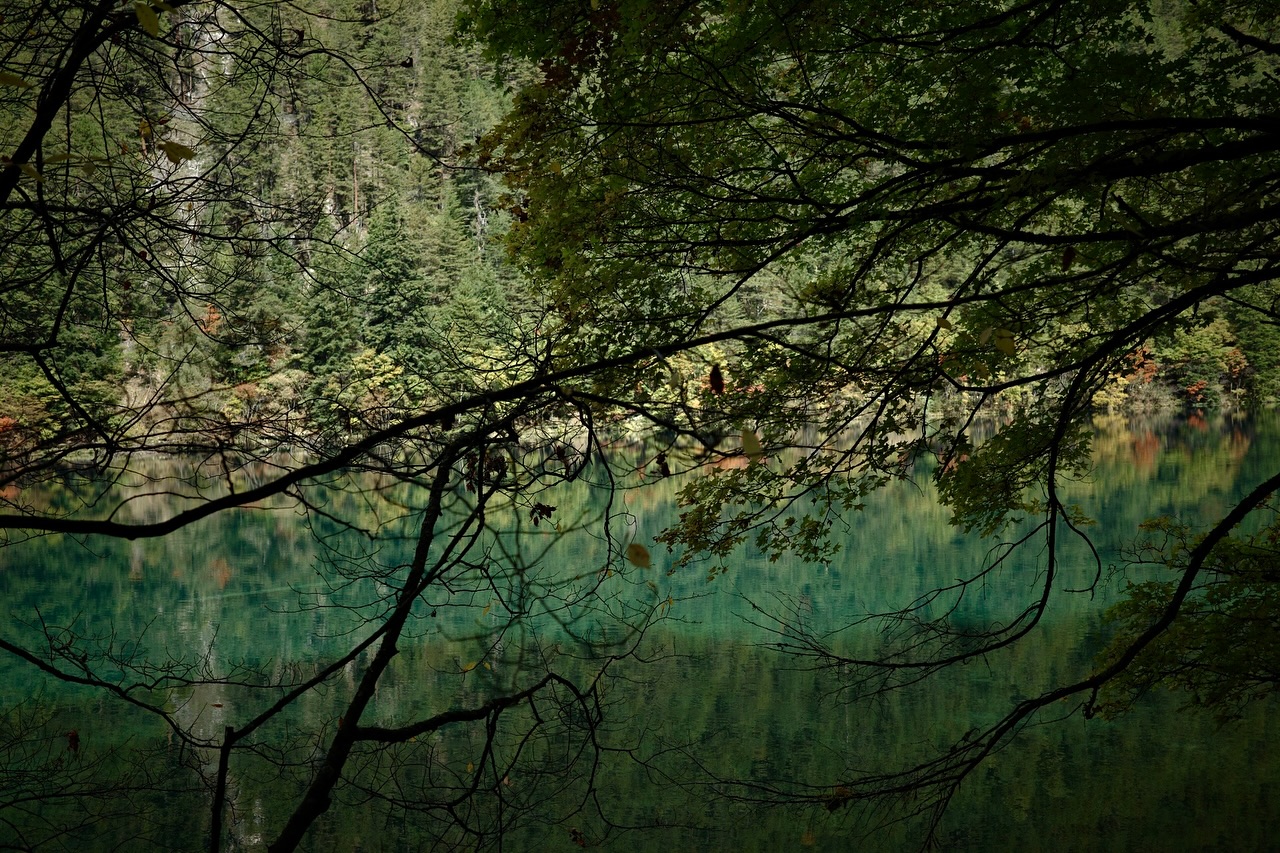 ไข่มุก - รุ่งรัตน์ เหม็งพานิช