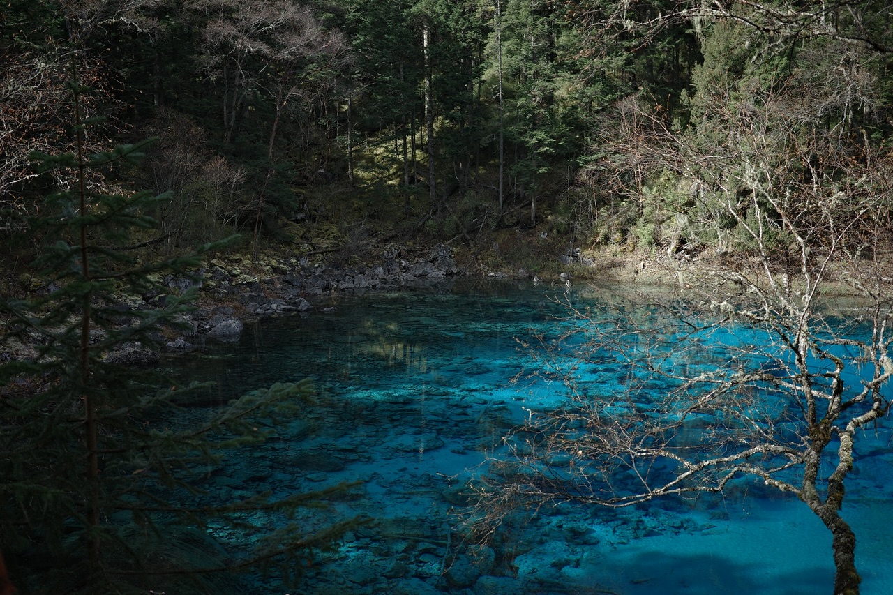 ไข่มุก - รุ่งรัตน์ เหม็งพานิช