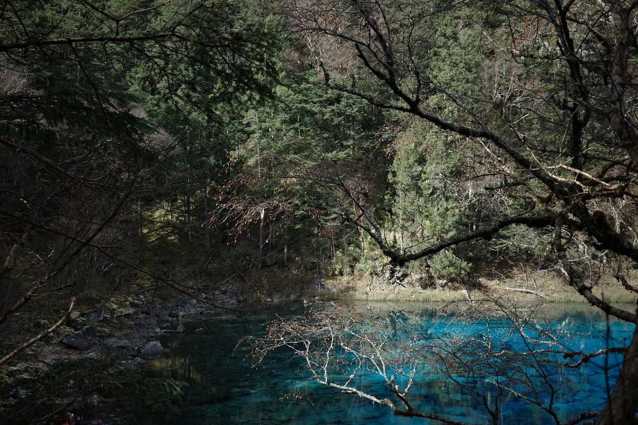 ไข่มุก - รุ่งรัตน์ เหม็งพานิช