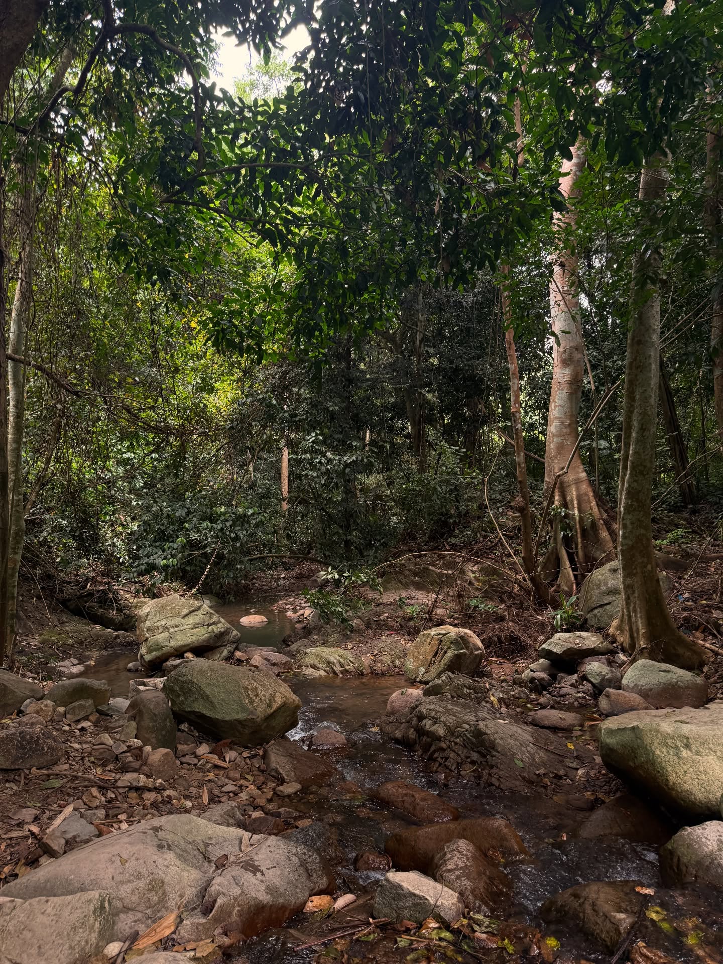 ไข่มุก - รุ่งรัตน์ เหม็งพานิช