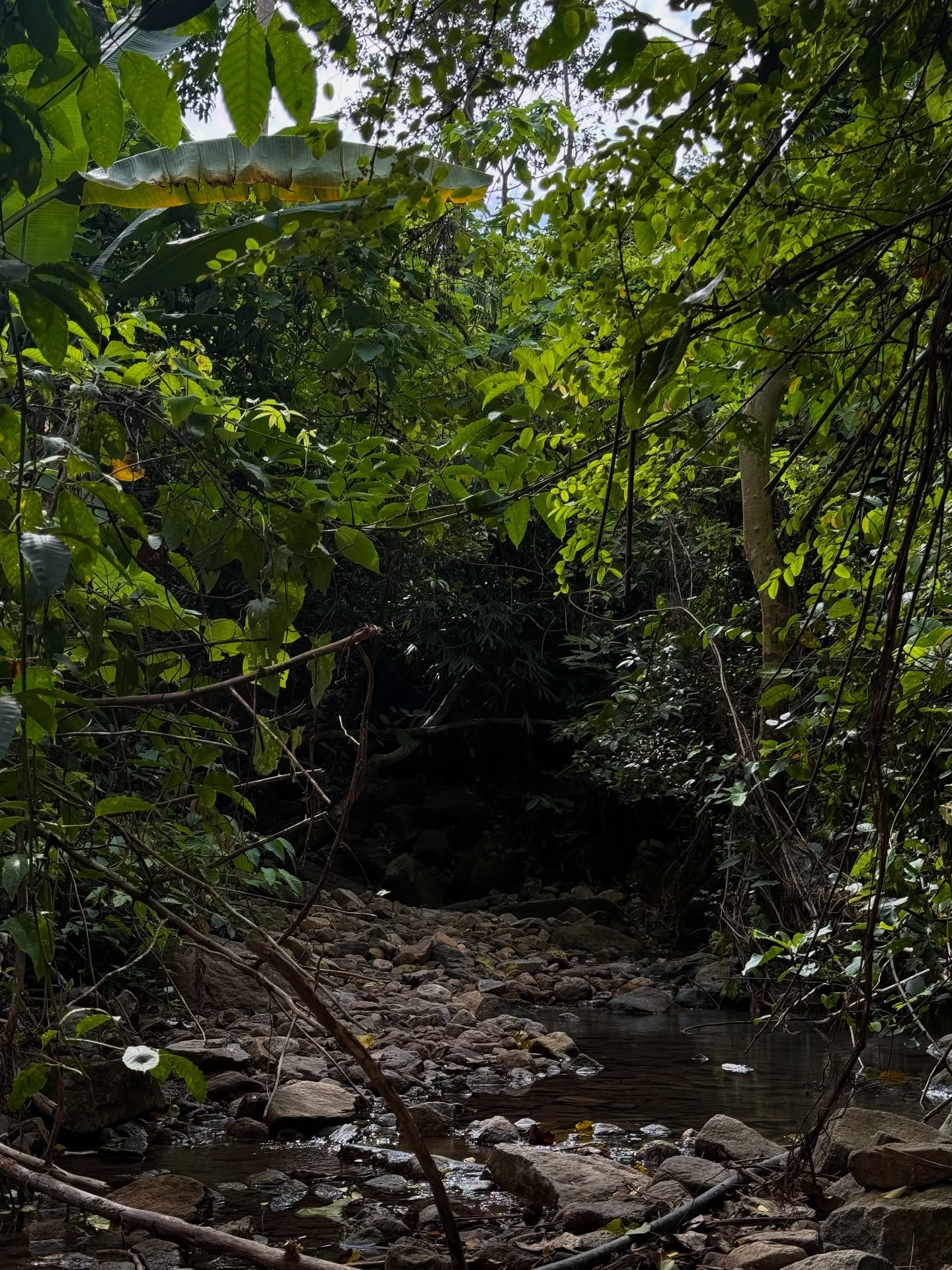 ไข่มุก - รุ่งรัตน์ เหม็งพานิช