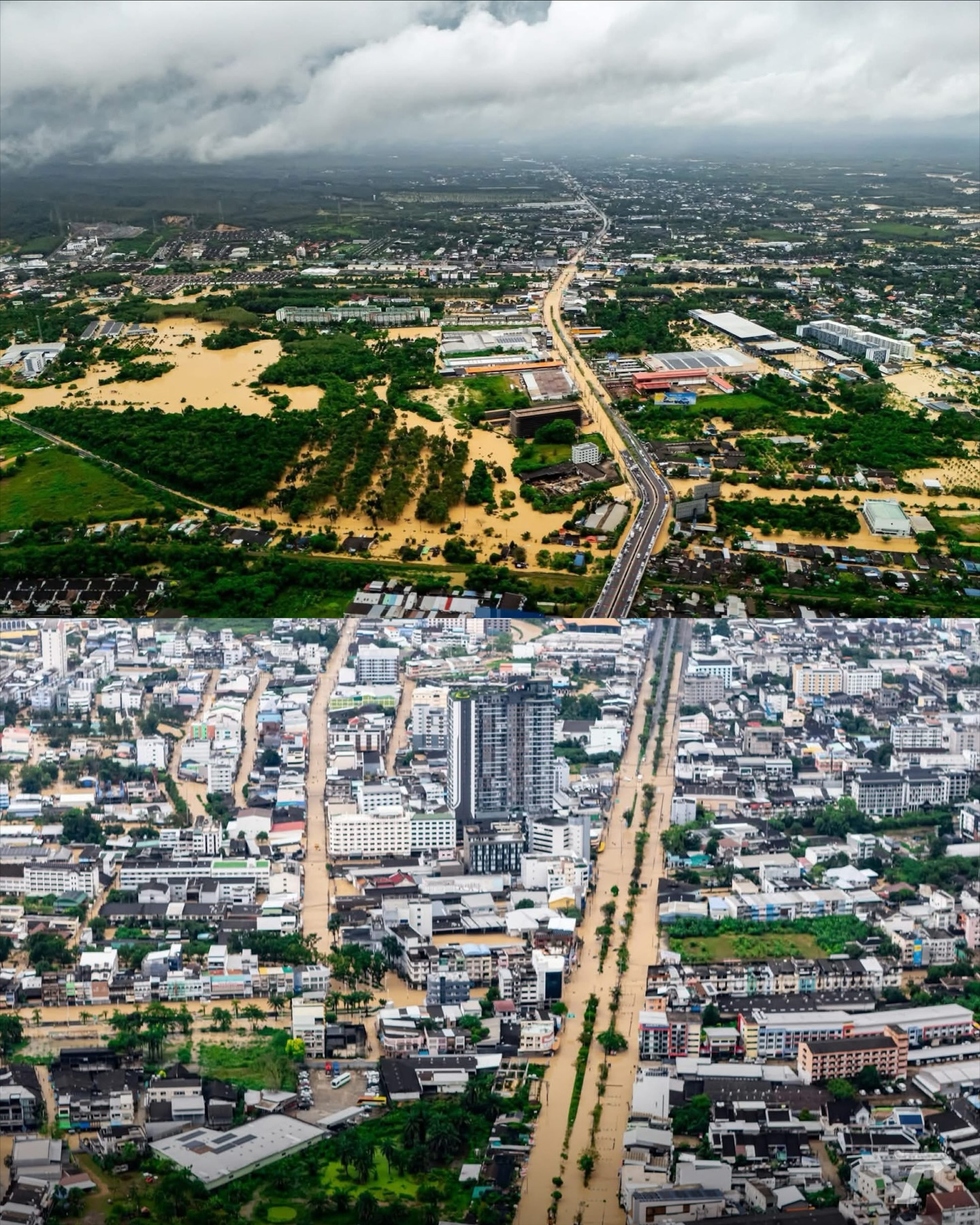 ไข่มุก - รุ่งรัตน์ เหม็งพานิช