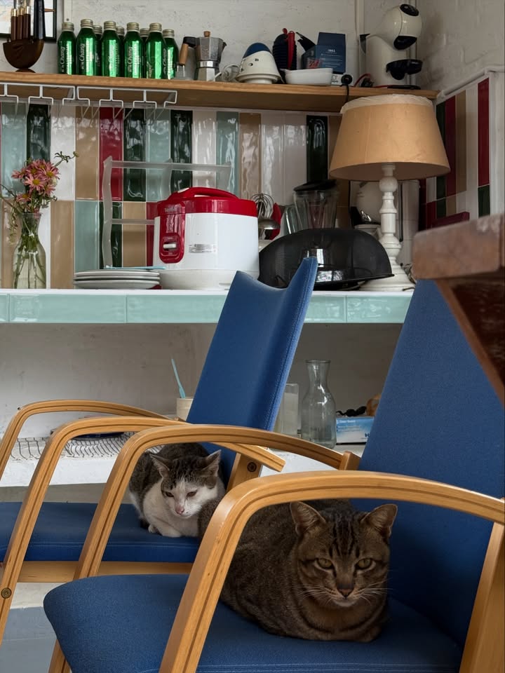 ไข่มุก - รุ่งรัตน์ เหม็งพานิช