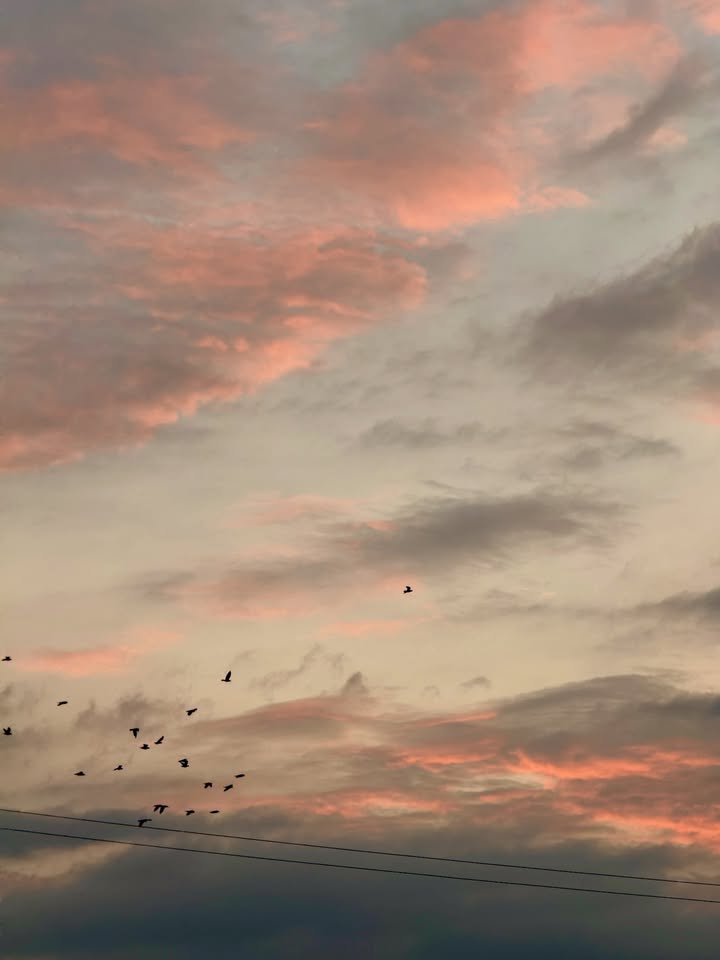 ไข่มุก - รุ่งรัตน์ เหม็งพานิช