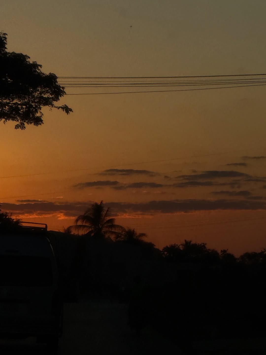 ไข่มุก - รุ่งรัตน์ เหม็งพานิช