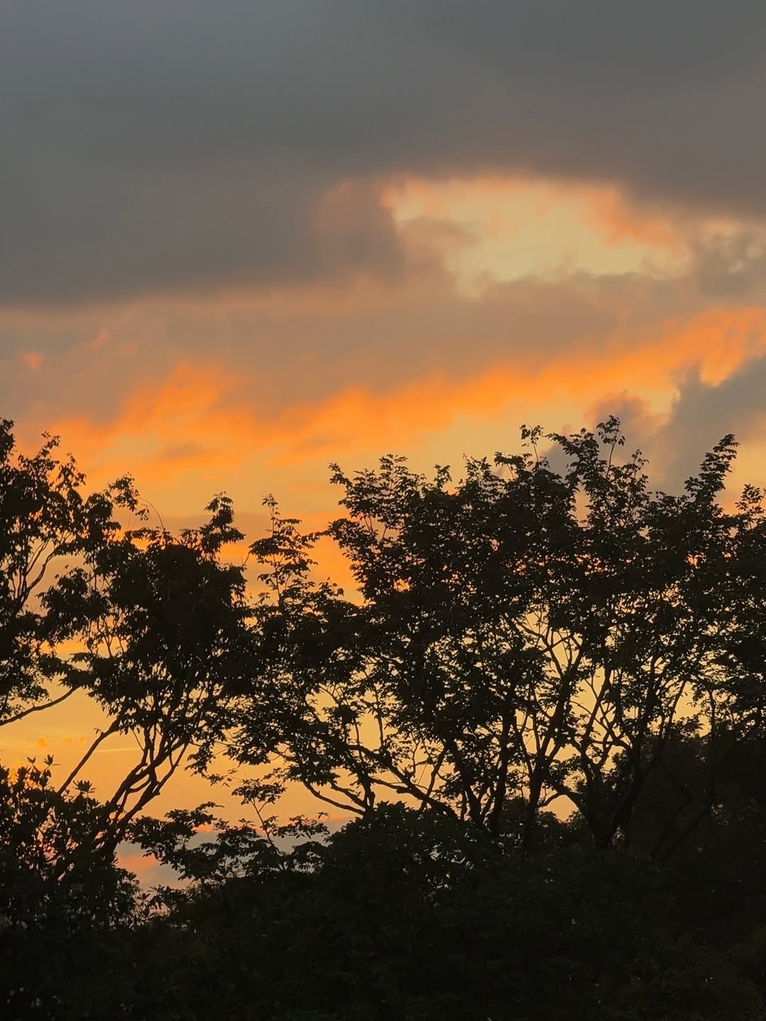 ไข่มุก - รุ่งรัตน์ เหม็งพานิช