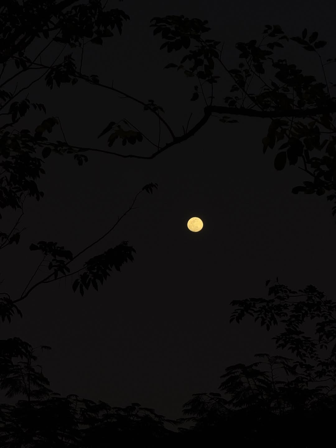 ไข่มุก - รุ่งรัตน์ เหม็งพานิช