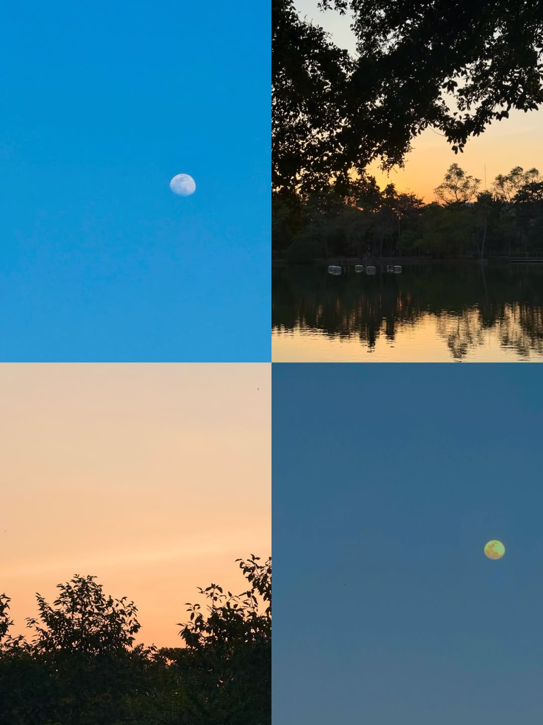 ไข่มุก - รุ่งรัตน์ เหม็งพานิช