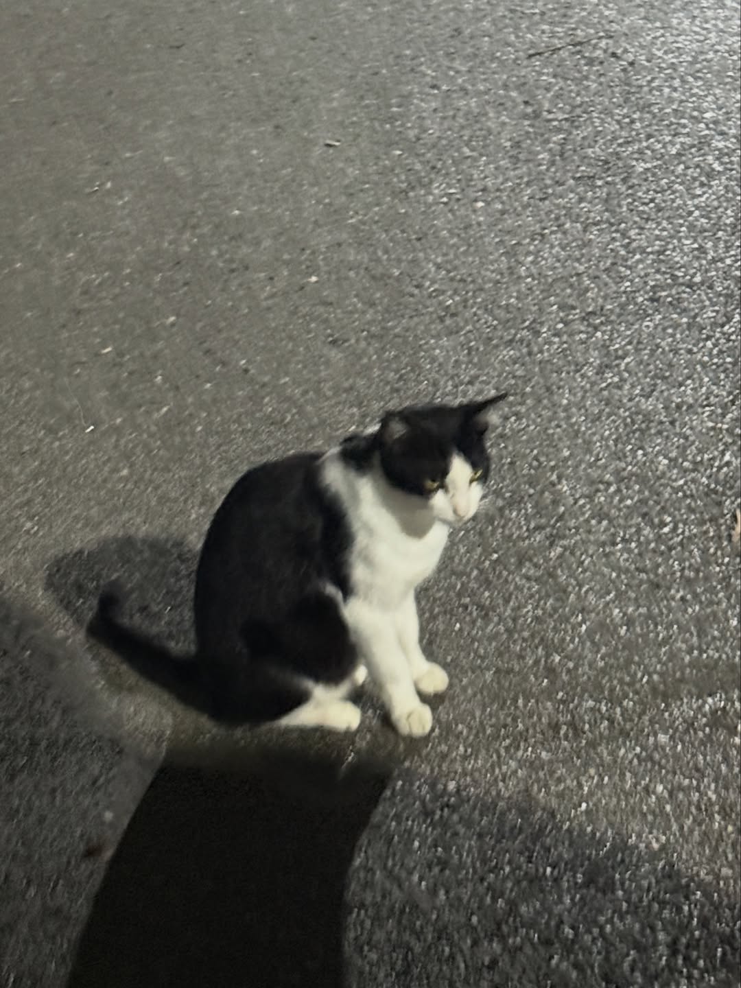 ไข่มุก - รุ่งรัตน์ เหม็งพานิช