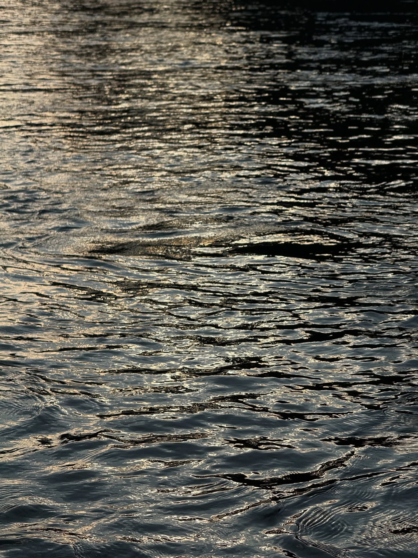 ไข่มุก - รุ่งรัตน์ เหม็งพานิช