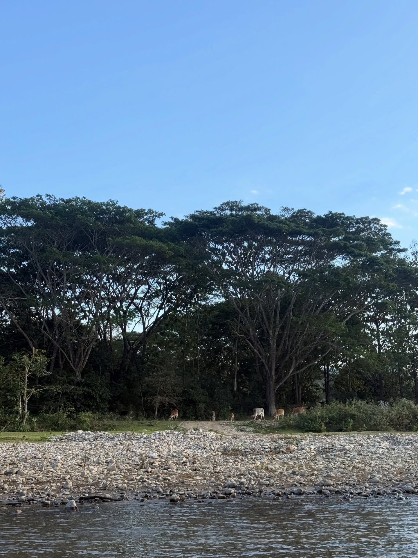 ไข่มุก - รุ่งรัตน์ เหม็งพานิช