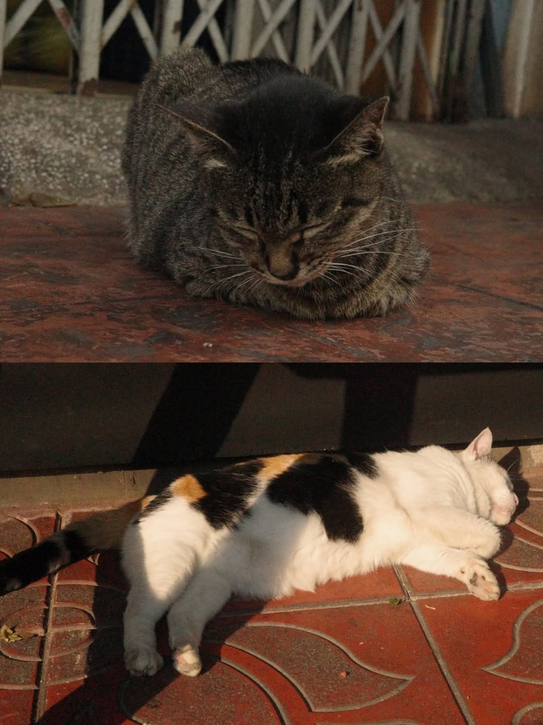 ไข่มุก - รุ่งรัตน์ เหม็งพานิช