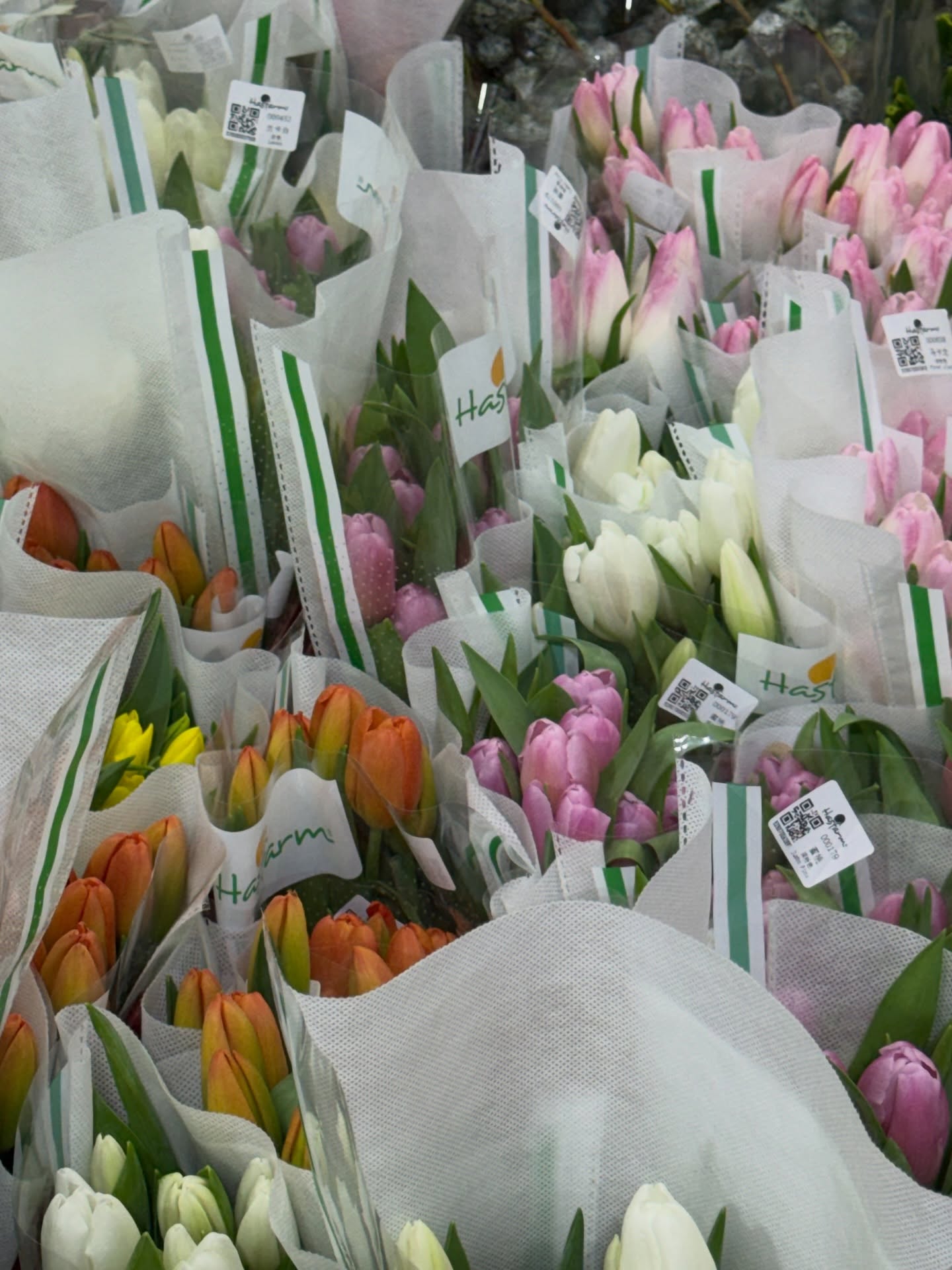 ไข่มุก - รุ่งรัตน์ เหม็งพานิช