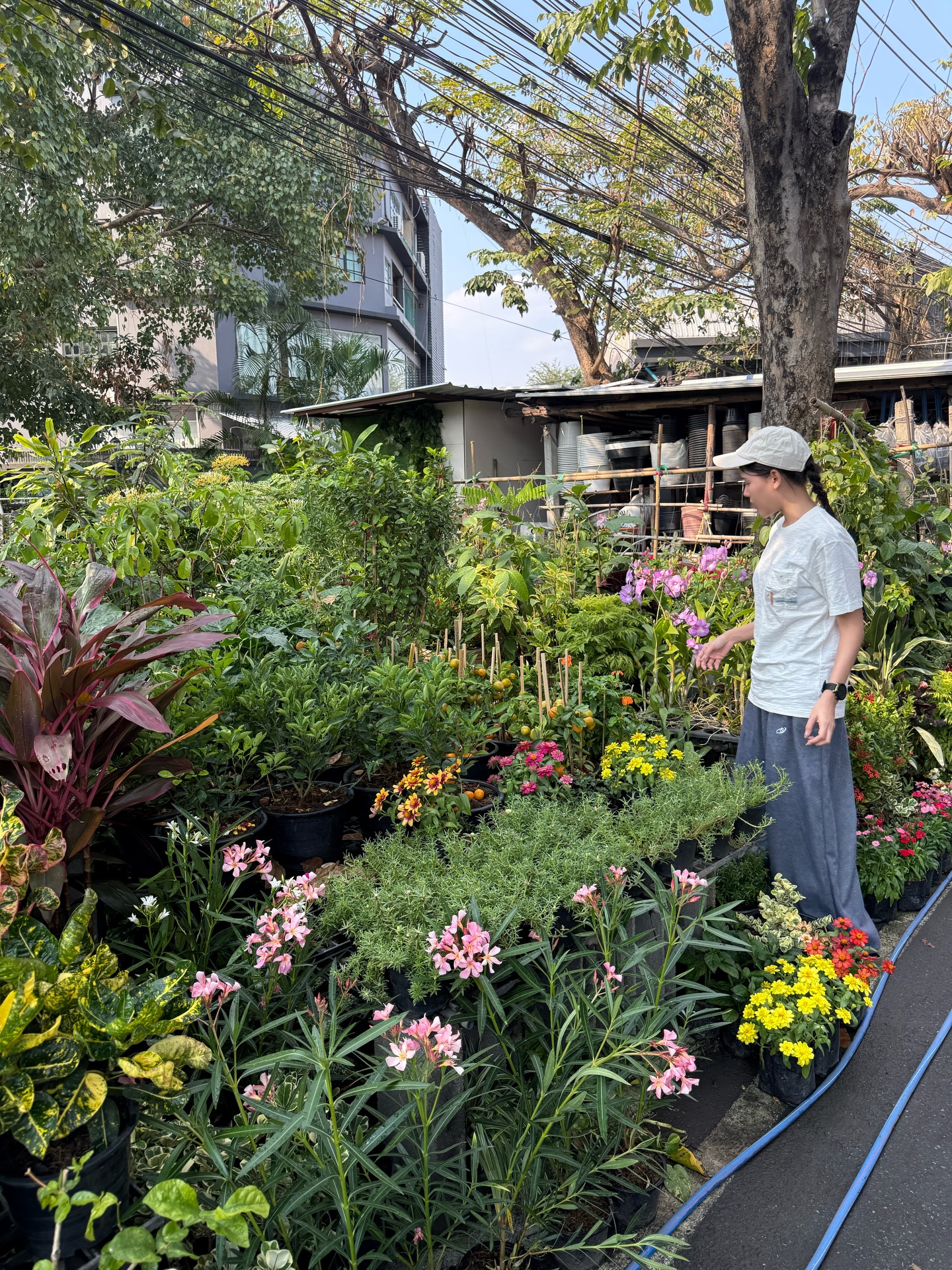 ไข่มุก - รุ่งรัตน์ เหม็งพานิช