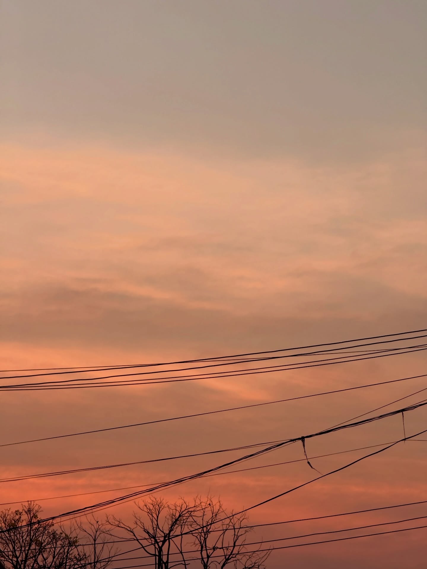 ไข่มุก - รุ่งรัตน์ เหม็งพานิช