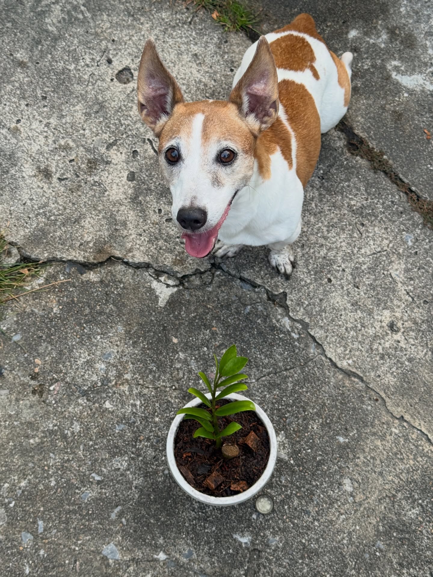 ไข่มุก - รุ่งรัตน์ เหม็งพานิช