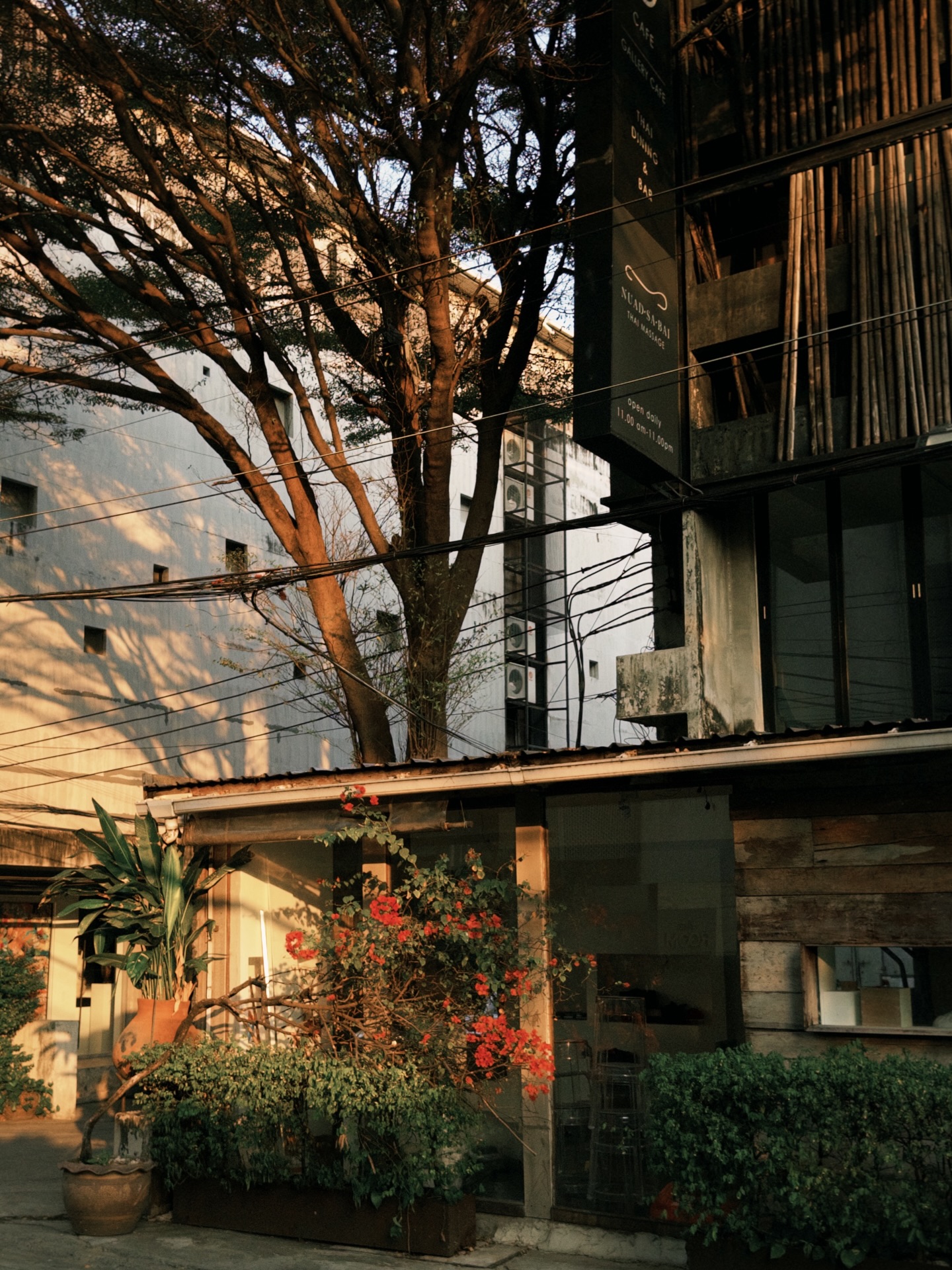 ไข่มุก - รุ่งรัตน์ เหม็งพานิช