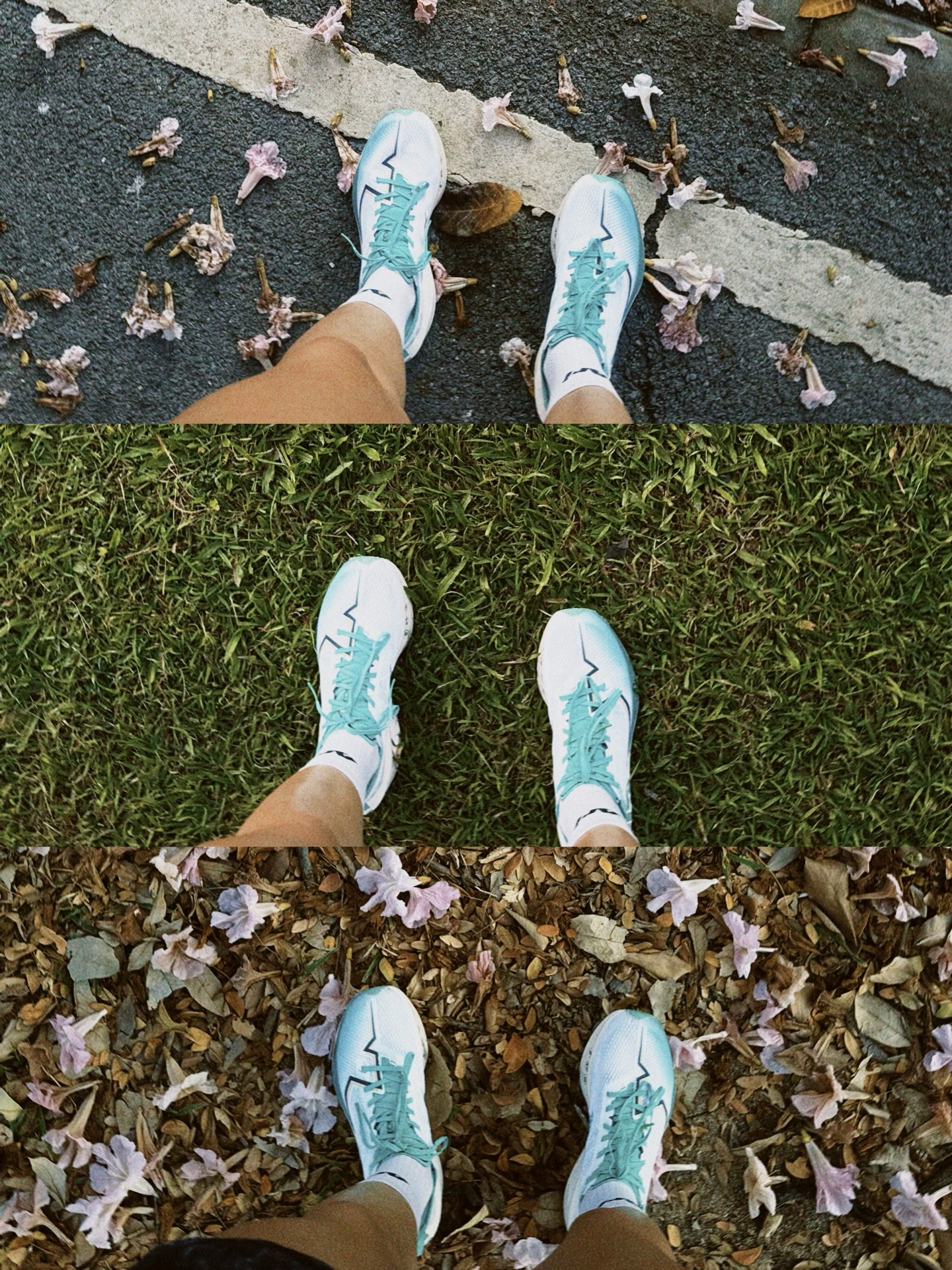 ไข่มุก - รุ่งรัตน์ เหม็งพานิช