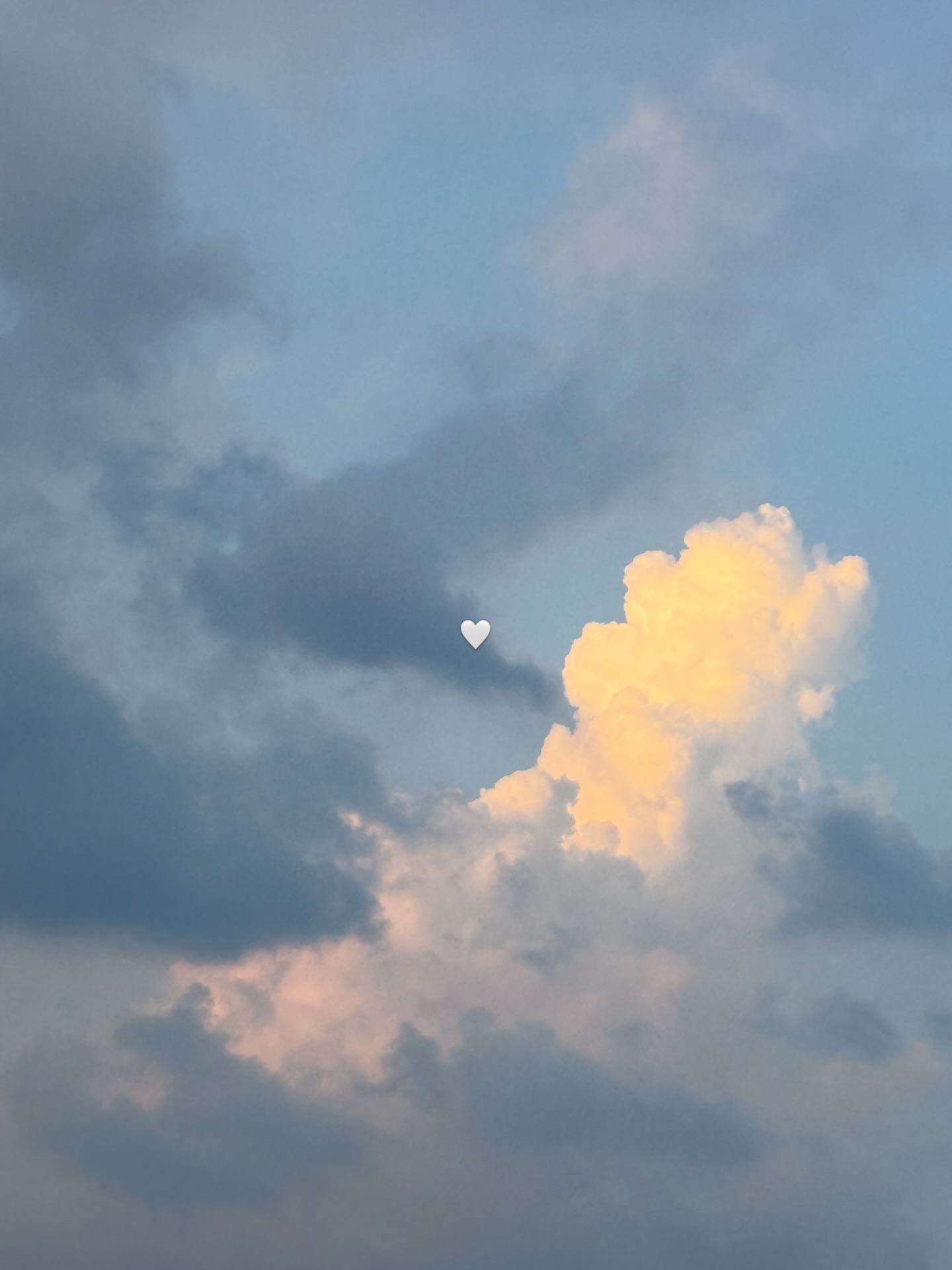 ไข่มุก - รุ่งรัตน์ เหม็งพานิช