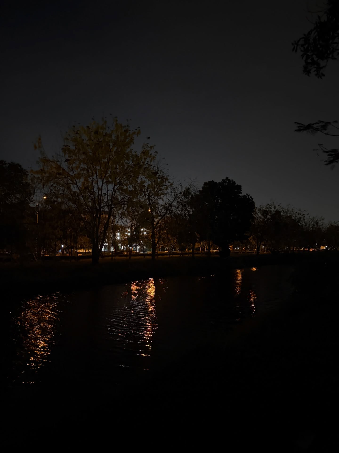 ไข่มุก - รุ่งรัตน์ เหม็งพานิช