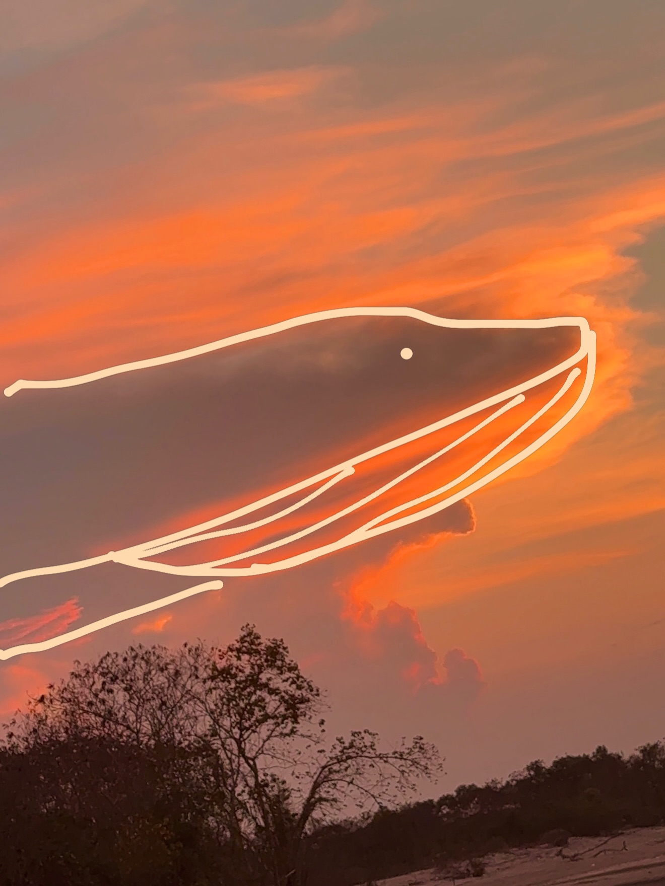 ไข่มุก - รุ่งรัตน์ เหม็งพานิช